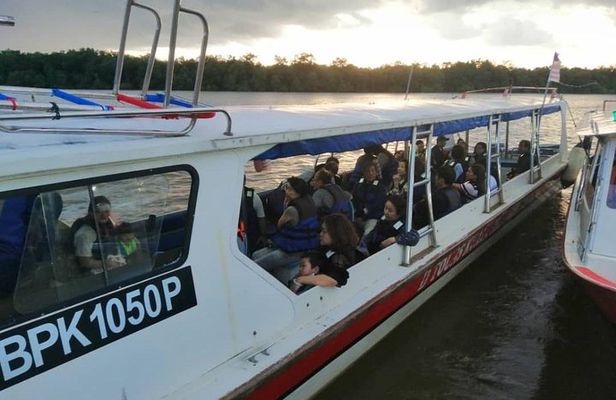 Twinkling Kuala Selangor Firefly Boat Tour from Kuala Lumpur