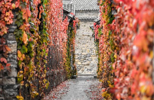 Beijing Central Axis E-Bike Tour: Forbidden City & Hutongs