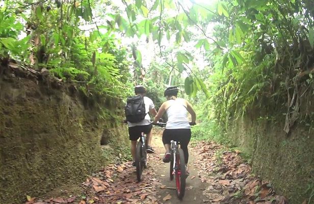 Mountain Biking and Waterfall Tour from Lombok