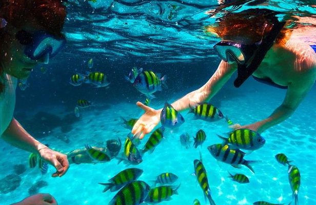 West Bay Aquarium Snorkeling, Chocolate & Rum Factory, City Tour plus Transfer