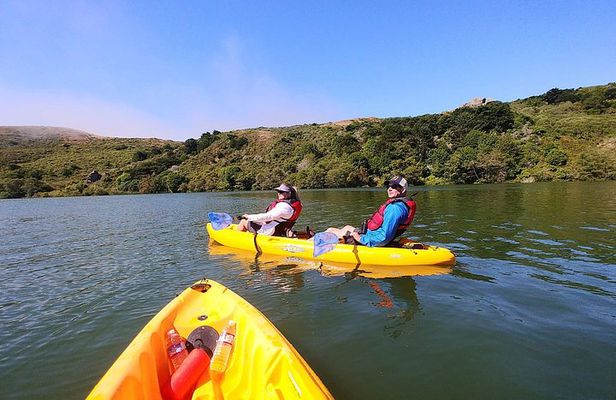 Guided Kayak Tour on Jenner Coast