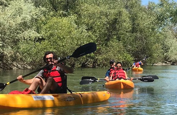 Guided Kayak Tour on Russian River