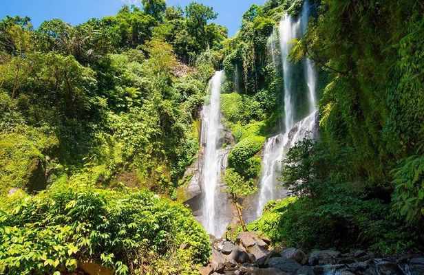 Bali Waterfalls Tour - One Day Private Tour