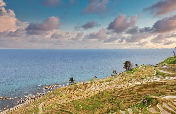 Noto peninsula 1 day/Photoshoot with professional photographer