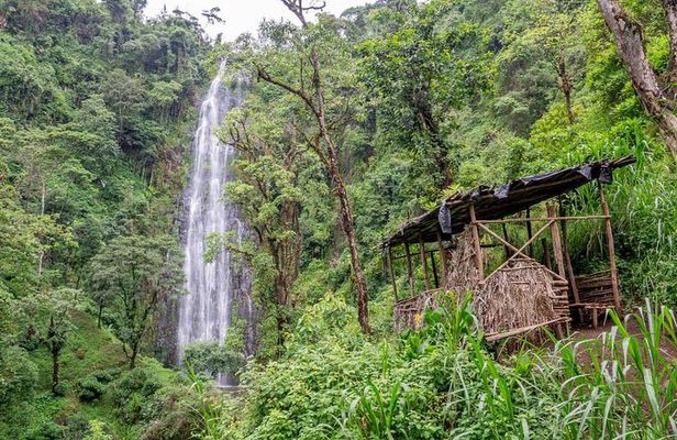 Materuni Waterfalls, Coffee & Cultural Tour Day trip