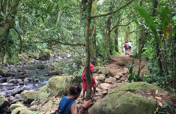 Small-Group Hiking Adventure through Grand Etang National Park in Grenada