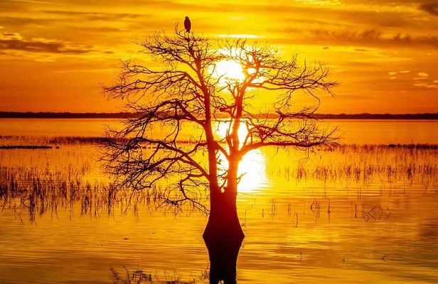 Sunset Airboat Ride