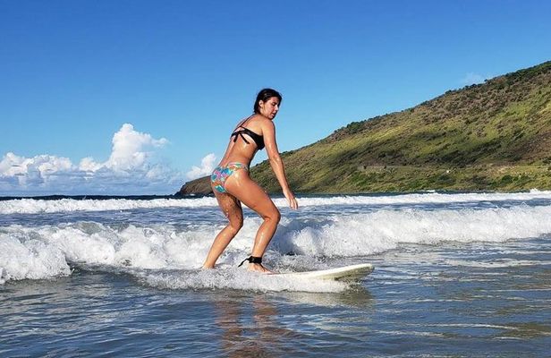 Beginner 2h Surf lesson