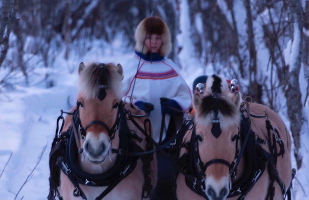 Sleigh Ride w/ Tapas Meal - Experience Arctic Farm Life