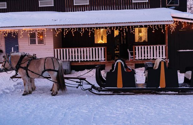 Sleigh Ride w/ snacks - Experience Arctic Farm Life