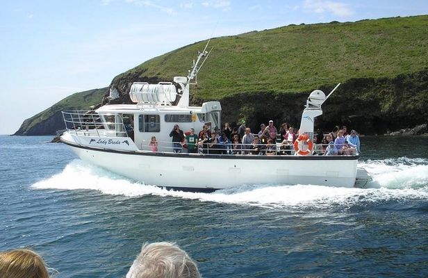 Blasket Island Eco Tour.