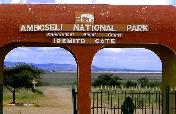 Amboseli National Park: Full Day Tour From Nairobi