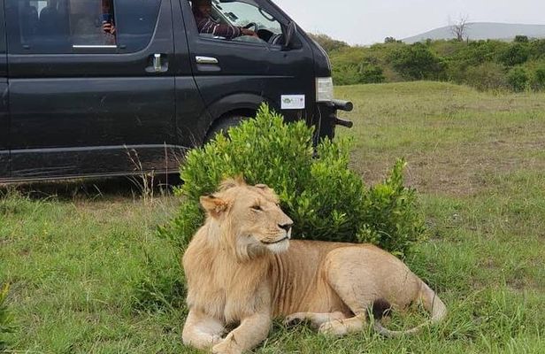 8 days kenya Tanzania combined holiday safari adventure