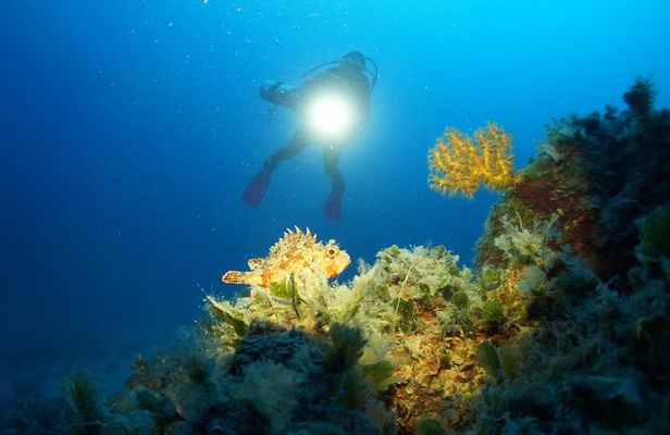 Diving day tour with 2 dives