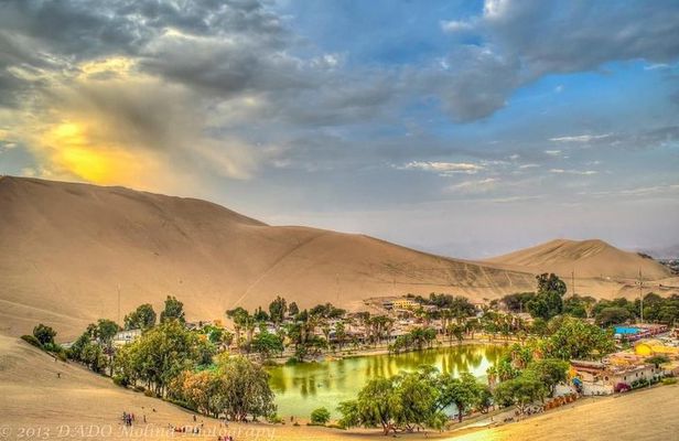 Full Day Ballestas Islands + Huacachina, the oasis of America + Ica Desert