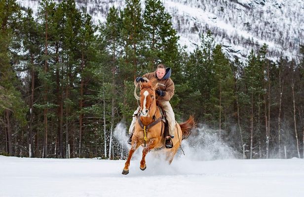 Horseback riding 