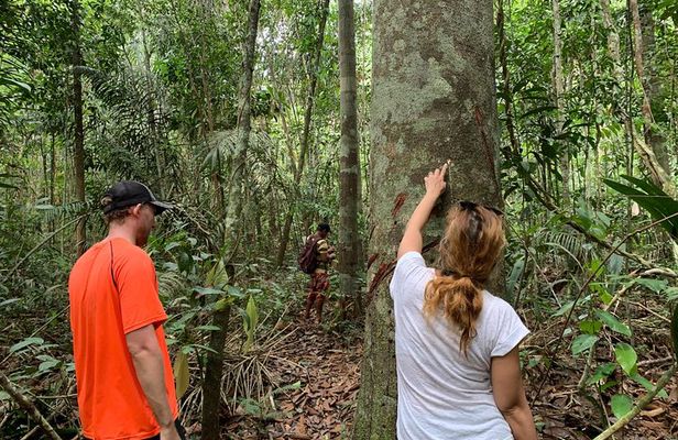 A Whole Day in the Jungle