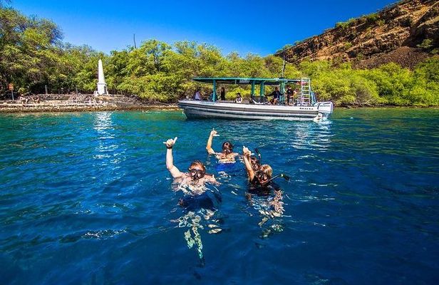 Premium Kona Coast Morning Snorkel