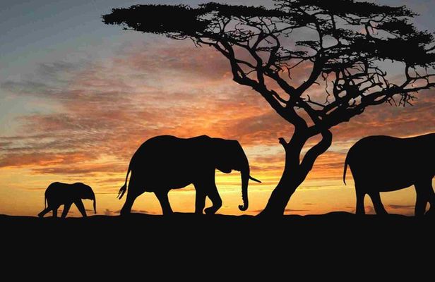 4 Days Camping Safari – Tarangire, Ngorongoro, Manyara, Olduvai Gorge