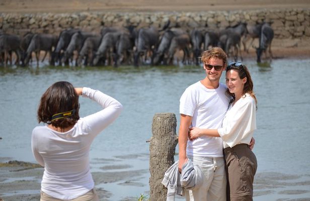 4 Days to Ruaha National Park from Dar es salaam/ Morogoro/ Dodoma Tanzania