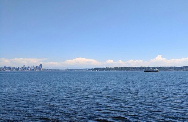 Bainbridge Island Wine and History - Private Luxury Day Tour with Lunch