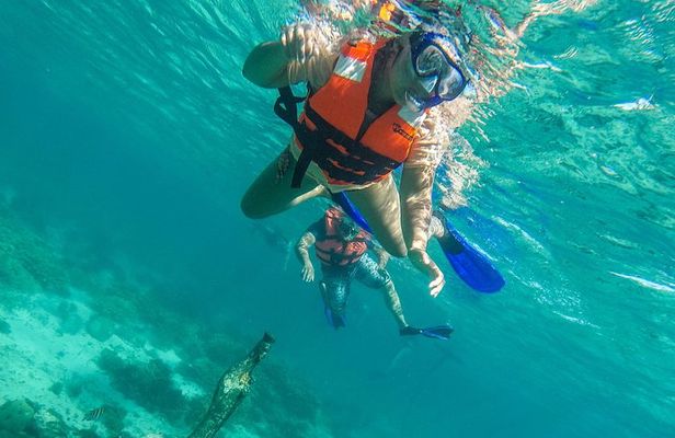 Isla Mujeres Snorkeling Tour Adventure