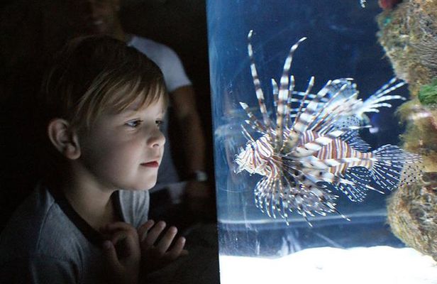 Temaiken Biopark Buenos Aires Tour