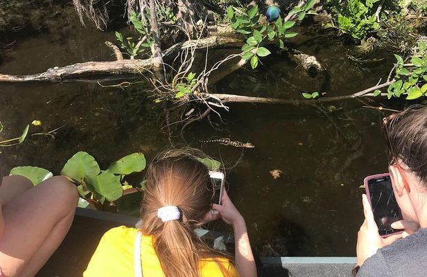 Private 2-Hour Airboat Tour of Miami Everglades