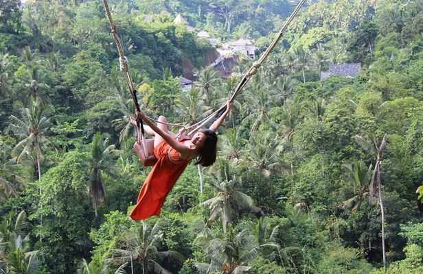 Private Full Day Tour to Ubud Highlights with Giant Swing