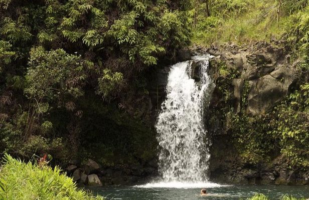 Waterfall and Rainforest Adventure
