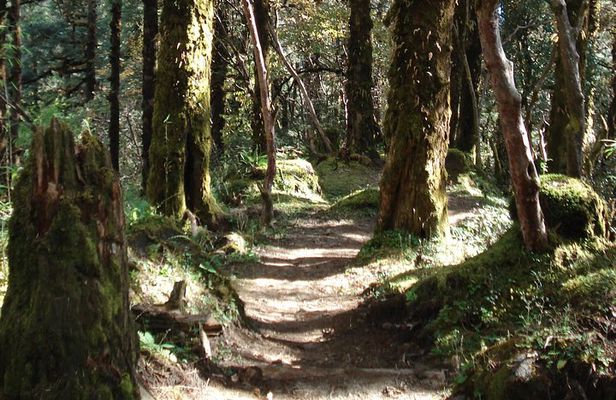 One-Day Hiking and Trekking in Kathmandu Valley