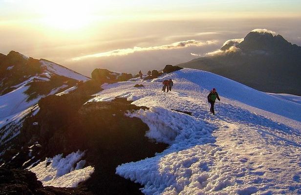 Mt Kilimanjaro Climbing; 7 Days Lemosho Route