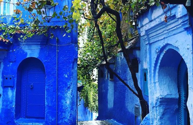 Chefchaouen Full day trip From Fez - Private transportation
