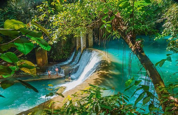 Kawasan Canyoneering, Kawasan Falls and Whaleshark Encounter