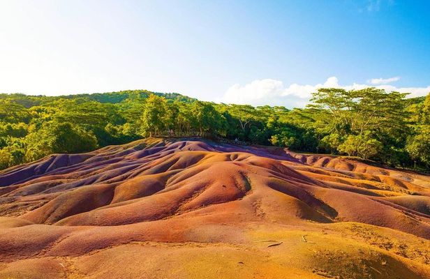 Private Chauffeur-Driven Sedan Full-Day South Tour