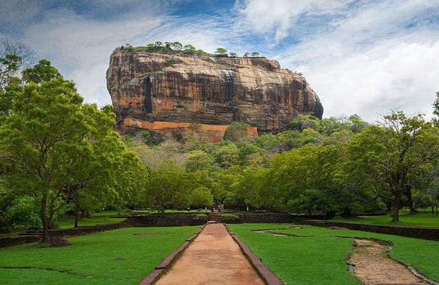 Sigiriya Rock and Dambulla Cave Temples from Colombo (All inclusive day tour)