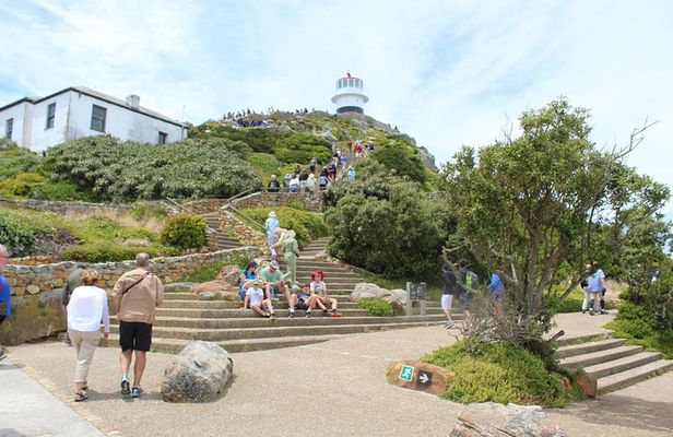Cape Of Good Hope, Penguins Private Tour from Cape Town full day