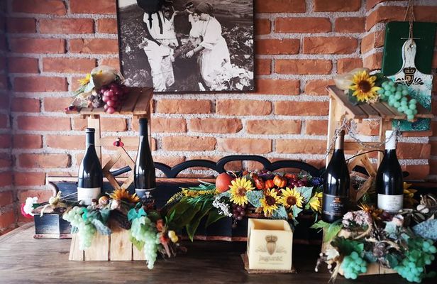 Private Wine Tour from Zagreb: Two Local Wineries & Samobor