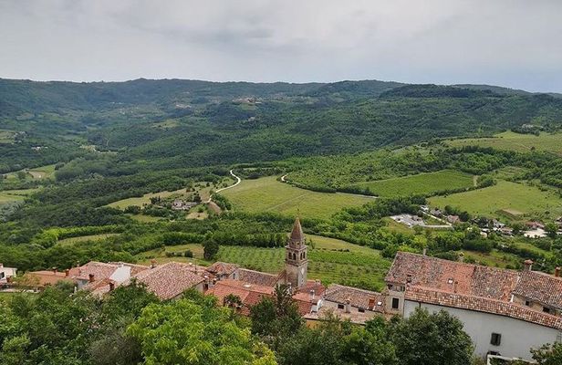 Full day tour of Istria