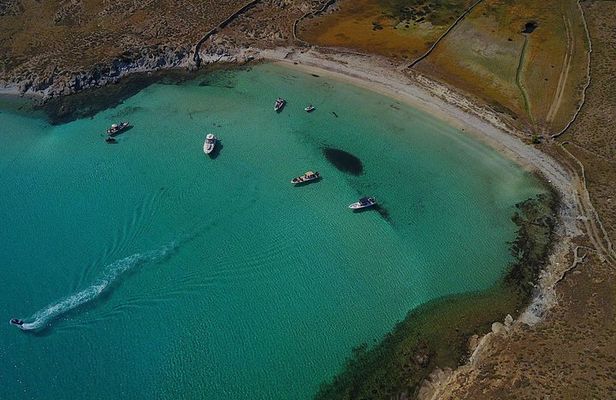 Private Speedboat Cruise from Delos to Rhenia and Mykonos