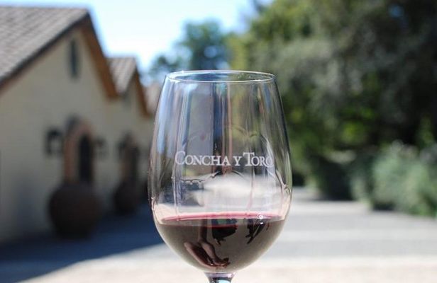 Concha y Toro Vineyard