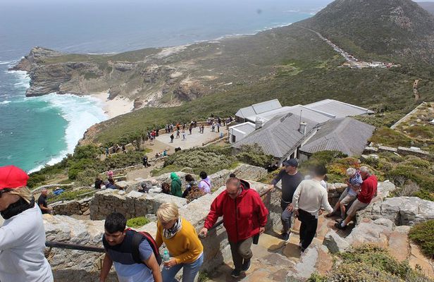 Private Cape Point Penguins Tour-Exploring the Cape Peninsula F/D