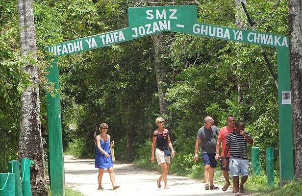 Jozani Forest Tour