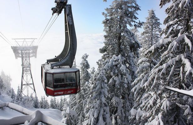 Private Tour: Capilano Suspension Bridge and Grouse Mountain