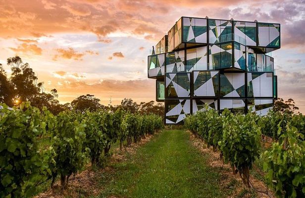 d'Arenberg Cube / McLaren Vale Regional Tour