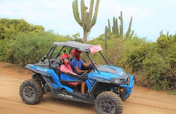 Cabo Wild Desert Tour, Polaris ATV or Razor Single, Double, Triple or Quad!