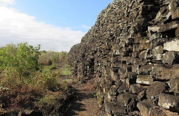 Wetlands Tour with Wall of Tears from Isabela Island
