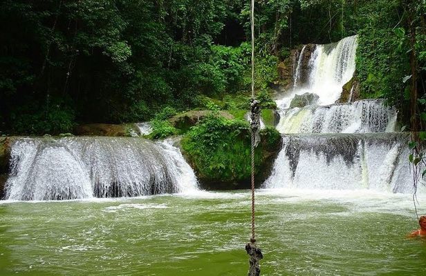 Appleton Estate, Ys Falls and Black River Safari Private Tour