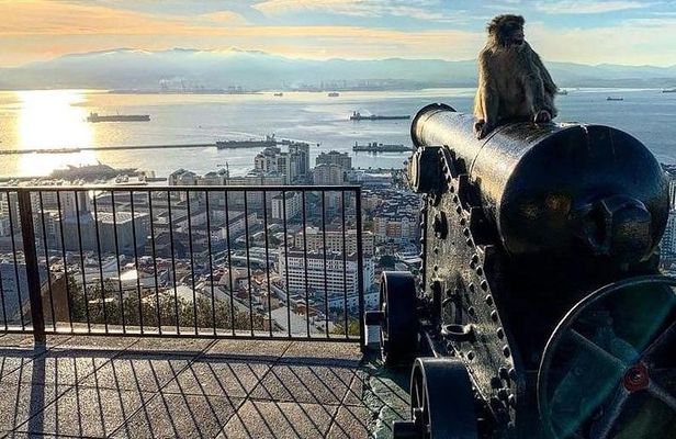 Gibraltar Sightseeing : Extended Rock Tour / Shore Excursion (Private)