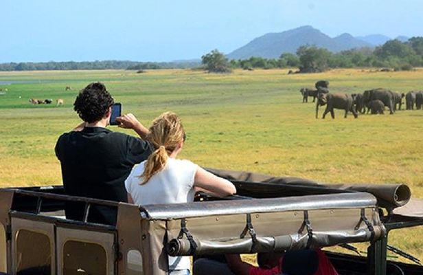 Yala Safari (5 Days, 4 Nights)